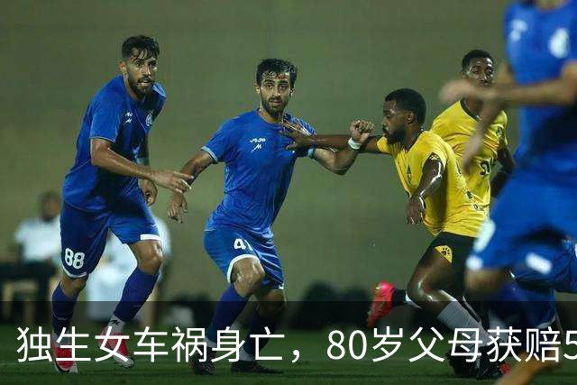 独生女车祸身亡,80岁父母获赔5年生活费;10年后钱用完了,两人再次起诉,法院判决:侵权人及保险公司继续支付5年生活费